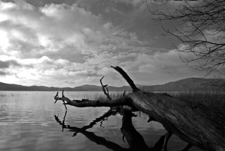 Lake black and white water photo