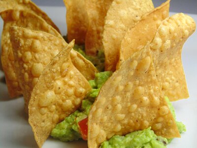 Mexican food food meat
