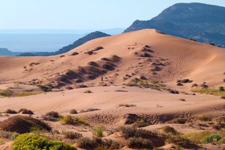 Sand desert dry