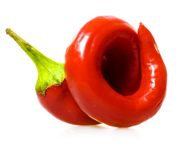 red chilli pepper photo