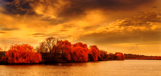 Autumn sunset on the lake photo