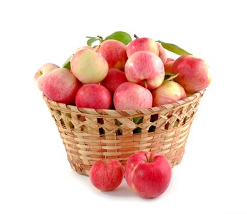 Crop food fruit