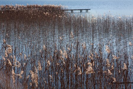 Water blue rest