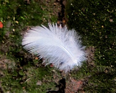 Fluffy light leight weight