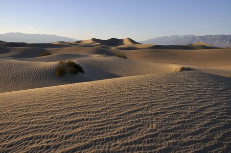 Mesquite Flat Sand Dunes photo