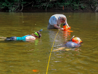 Students laying underwater transects-1 photo