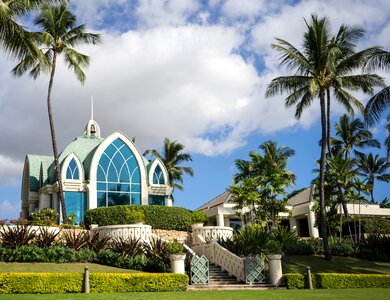 Ko olina palm trees religion photo