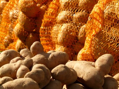 Potatoes potato sack vegetables