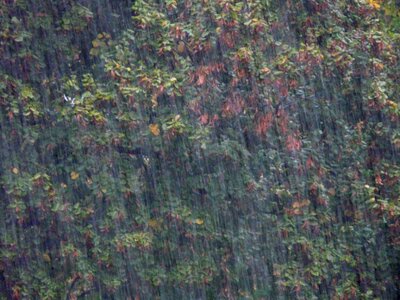 Rain wet water