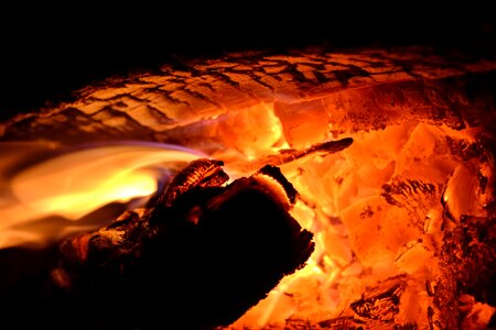 Burning fire firewood photo