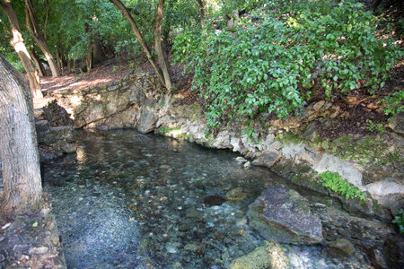 Comal Spring Source