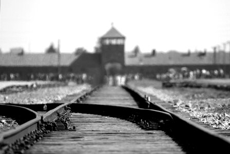 Camp holocaust rail track