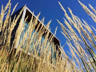 Window house grass photo