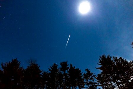 Moonlight nature night