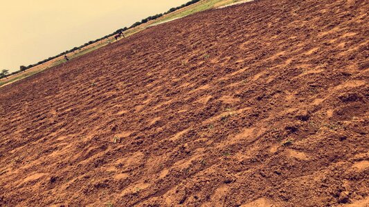 Sand soil landscape photo