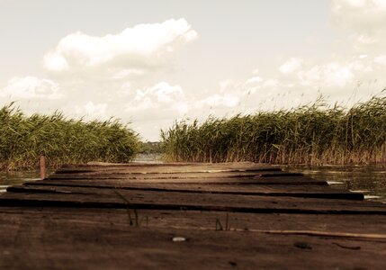 Bamboo natural rural