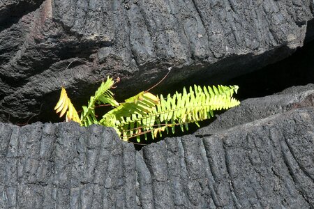 Nature lava ocean
