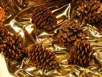 Window cloth golden