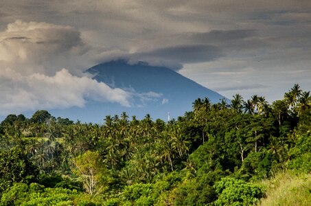Jungle tropical landscape photo