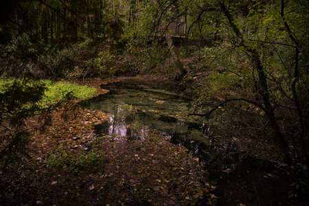 Fall springs landscape with leaves
