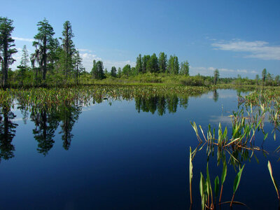 Okefenokee National Wildlife Refuge scenic
