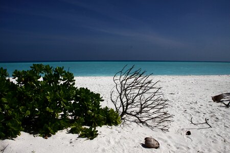 Water sea beach