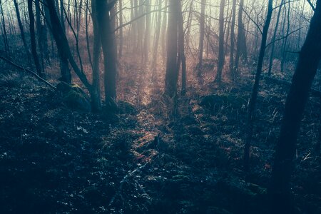 Dark landscape fantasy photo