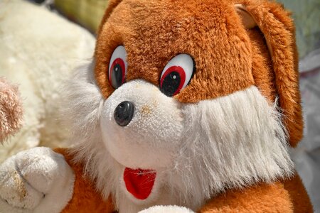 Teddy Bear Toy fur toy photo