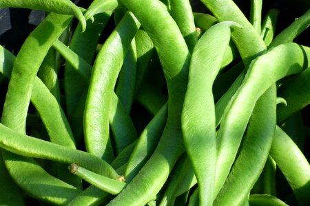 Food healthy legume photo