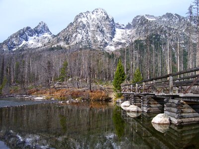 Bridge wooden grand teton national park photo