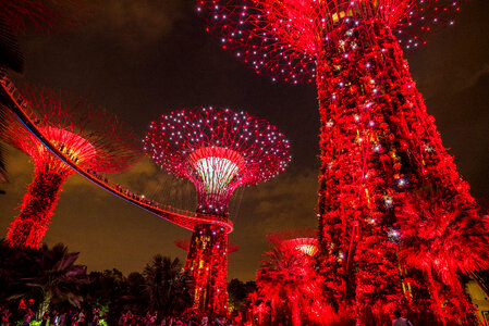 Singapore Garden Lights photo
