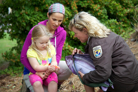 Service employee models environmental education simulation of a Pacific salmon-3