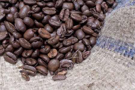 Brown coffee beans grains photo