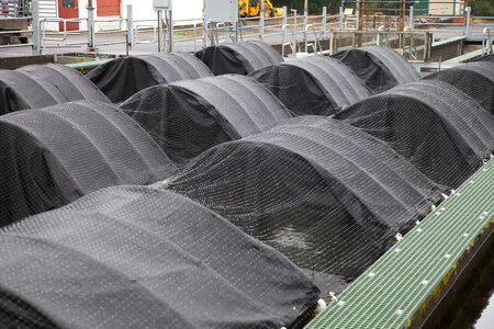 Abernathy Fish Technology Center