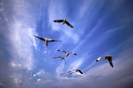 Flights inle lake hotels myanmar burma photo