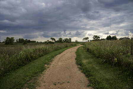 Path through the tall grass at Horicon Marsh photo
