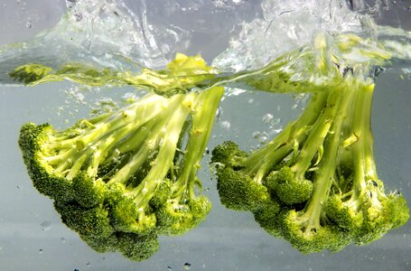 Beautiful Photo broccoli diet