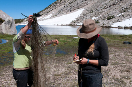 Biologists retrieve seine nets-2