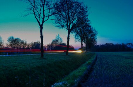 Nightfall evening trees
