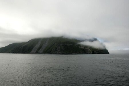 Alaska island worm