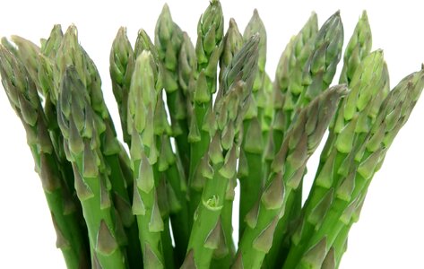 Asparagus dark green diet
