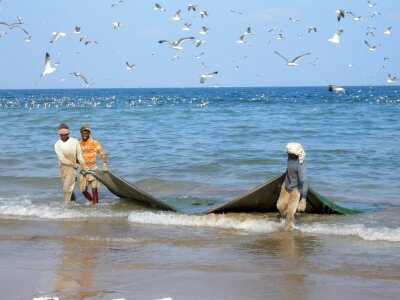 Net fishing net catch