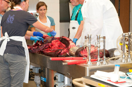 Marine Mammal Stranding Course at NCTC-1
