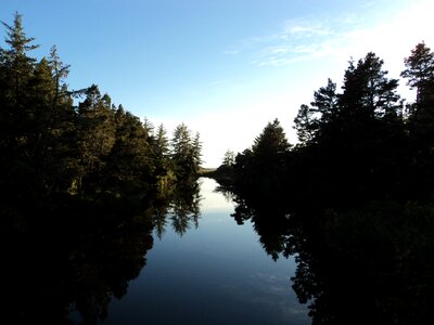 Scenery pond water