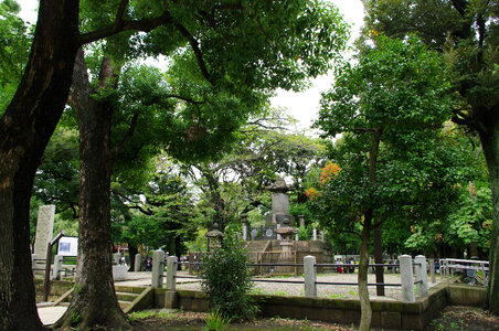 5 Ueno Park