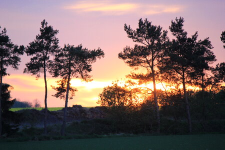 Sundown behind tree shadows photo