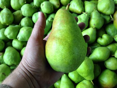 Healthy diet natural