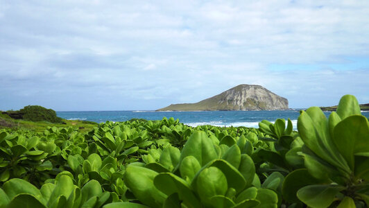 Hawaii Water Landscape Free Photo photo