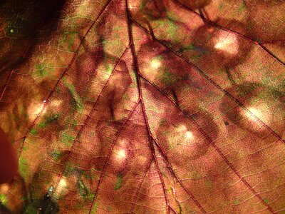 Shining reflection decoration