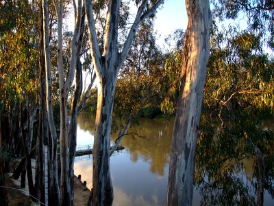Echuca river water